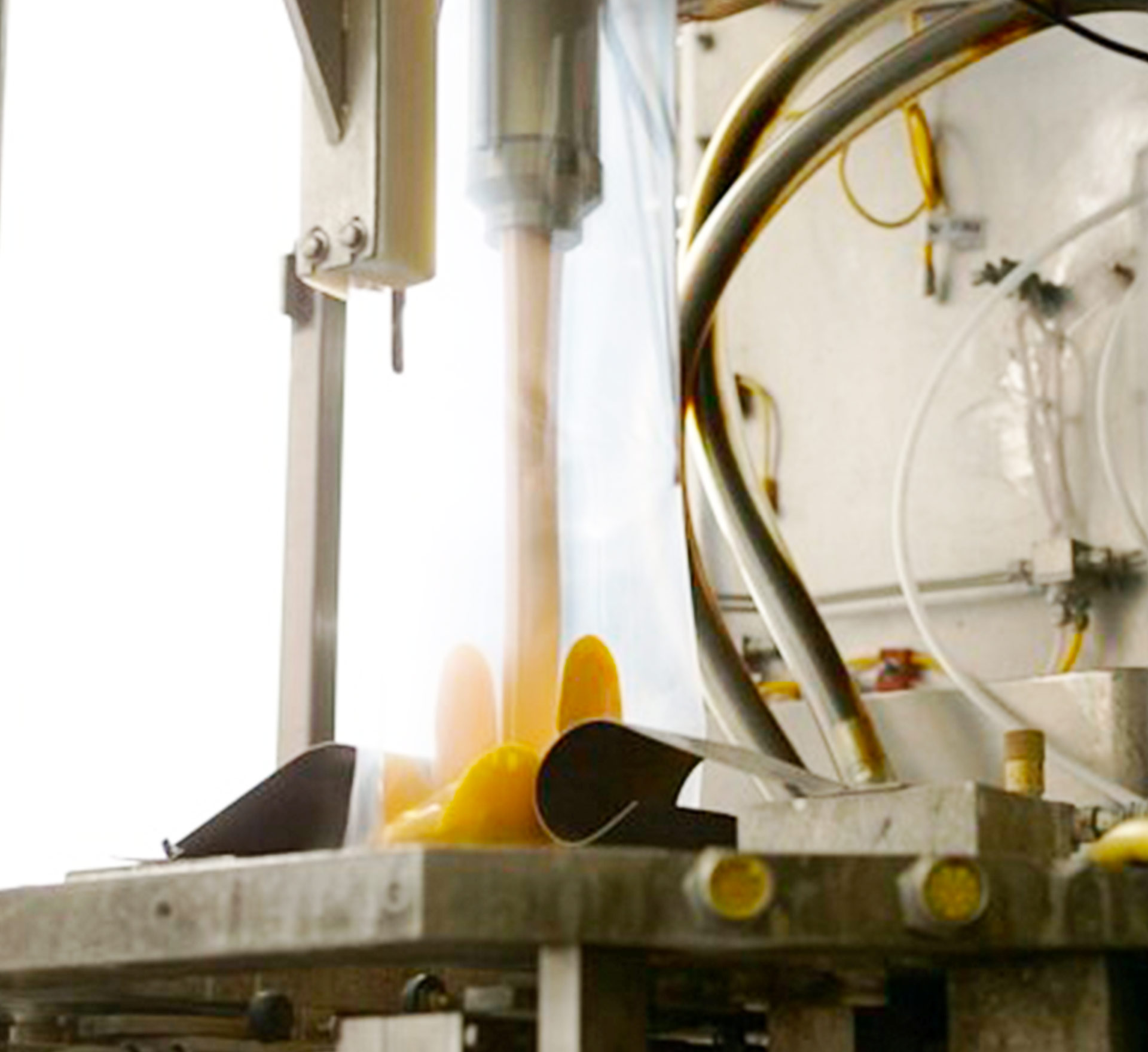 Experts in low-acid aseptic technology